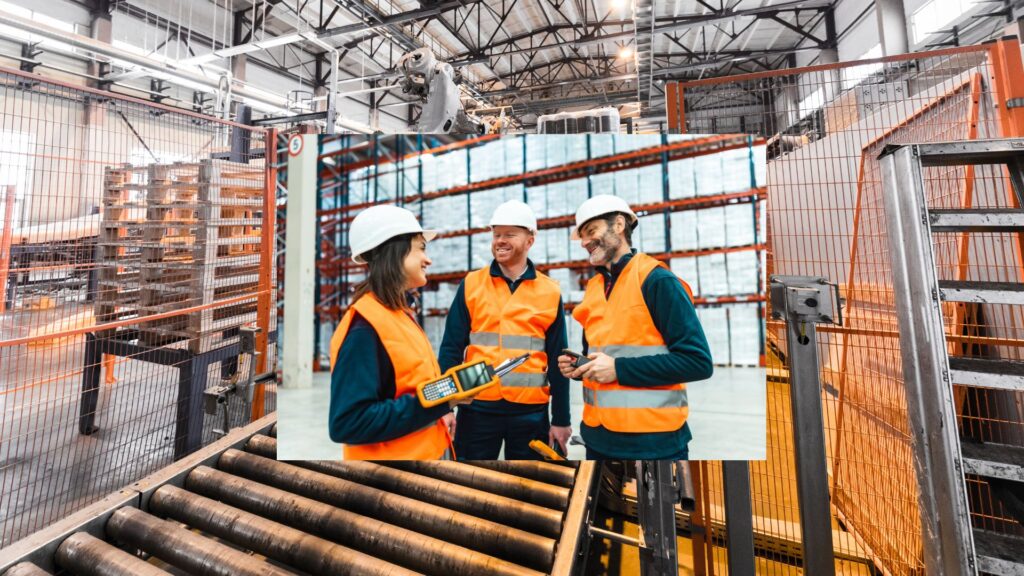 wdrożenie systemu WMS